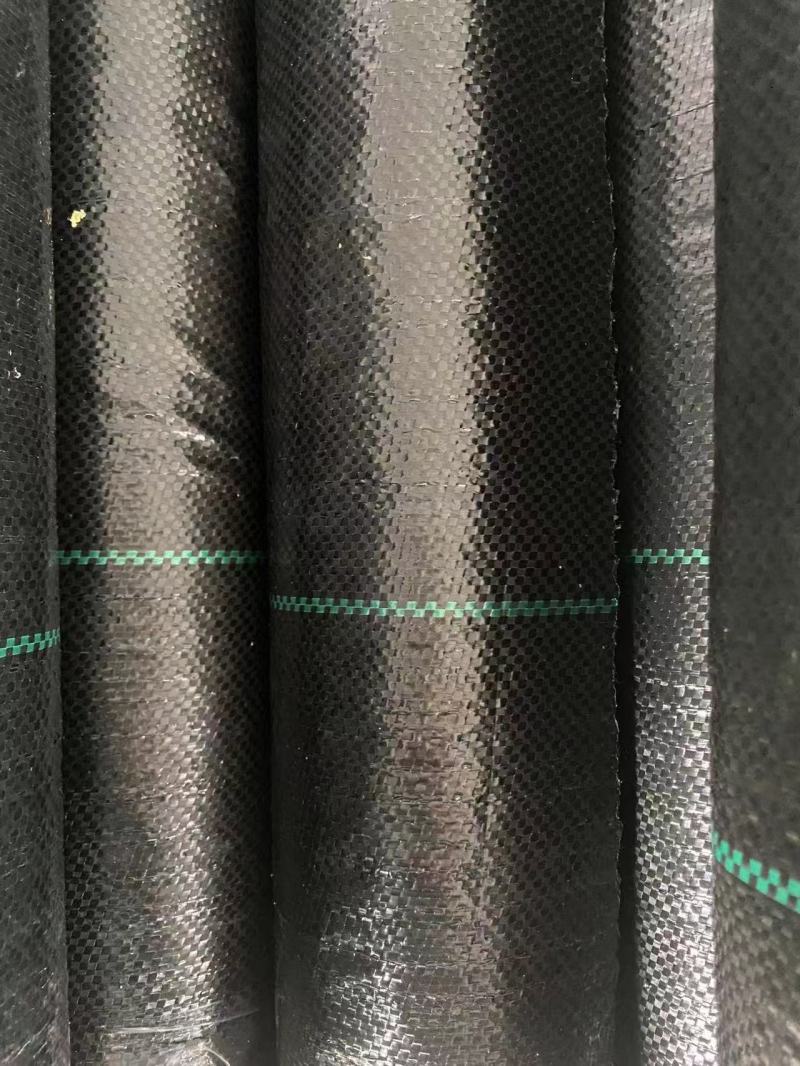 PE防草布新品上市，质量保证，品种纯正，假一赔十