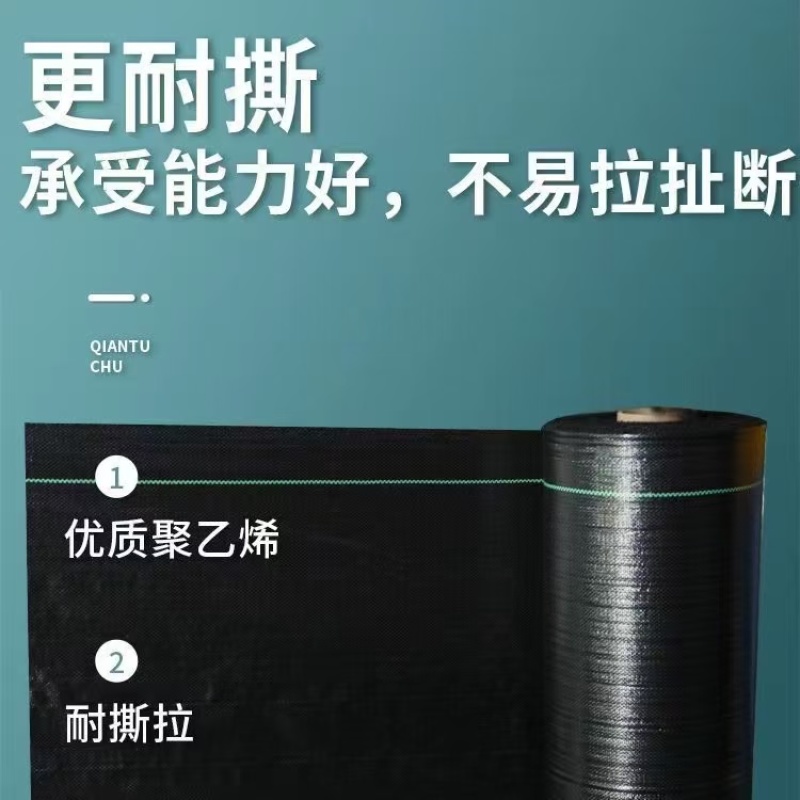 PE防草布新品上市，质量保证，品种纯正，假一赔十
