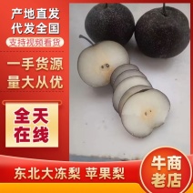 现货，精品苹果梨冻梨，330克以上，可长期合作