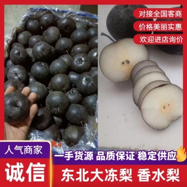 香水梨冻梨规格齐全产地直发提供一条龙服务
