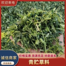 常年出售青贮草料厂家直销质量保证，专注饲料十几年