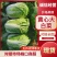 精选黄心白菜大白菜山东白菜单颗4-6斤价格实惠欢迎电联