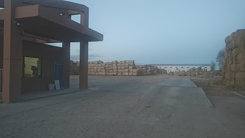 黑龙江柔丝稻草，基地直发，品质保证，可视频看货，诚信经营