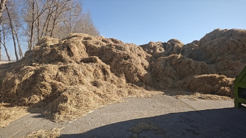 黑龙江柔丝稻草，基地直发，品质保证，可视频看货，诚信经营