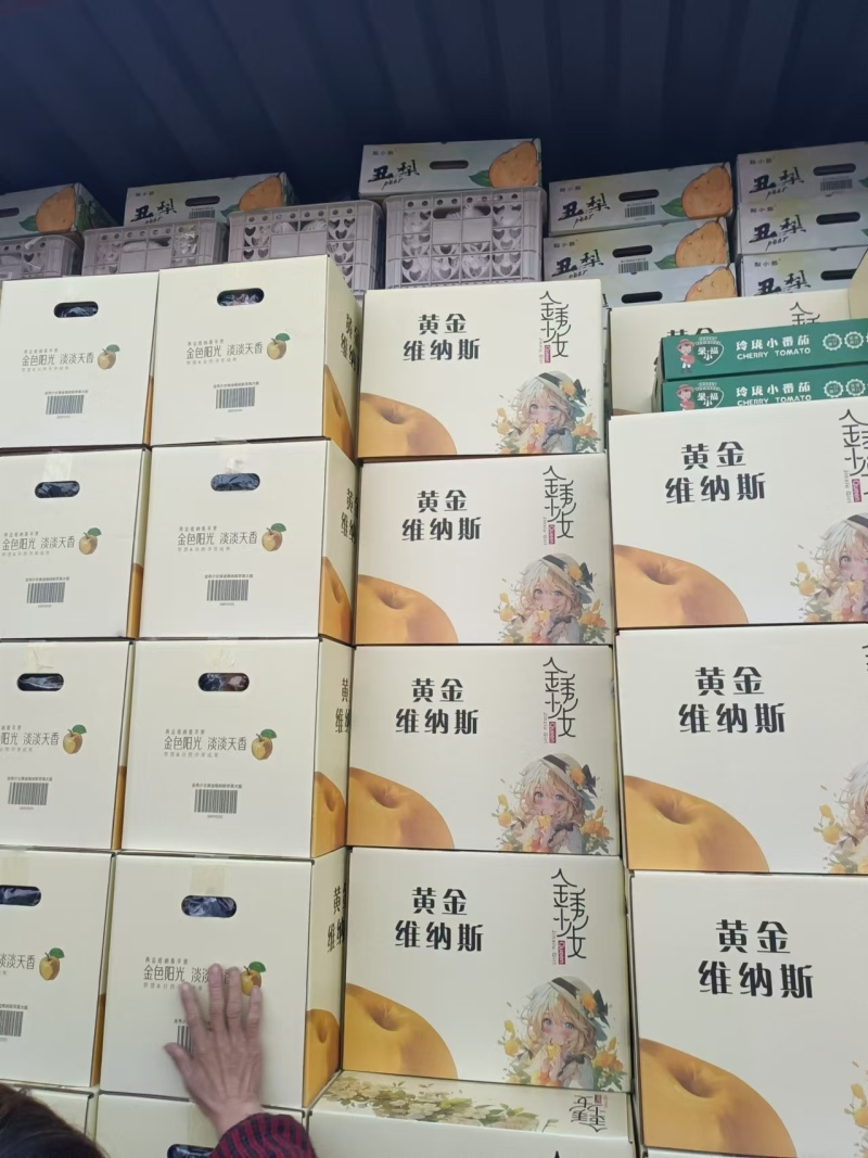 维纳斯苹果大量现货！
