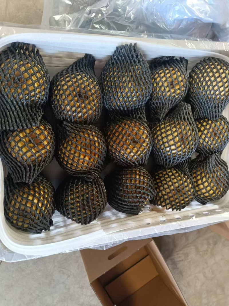 维纳斯苹果大量现货！