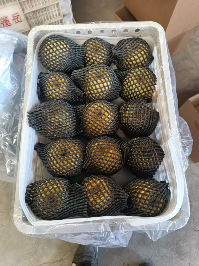 维纳斯苹果大量现货！
