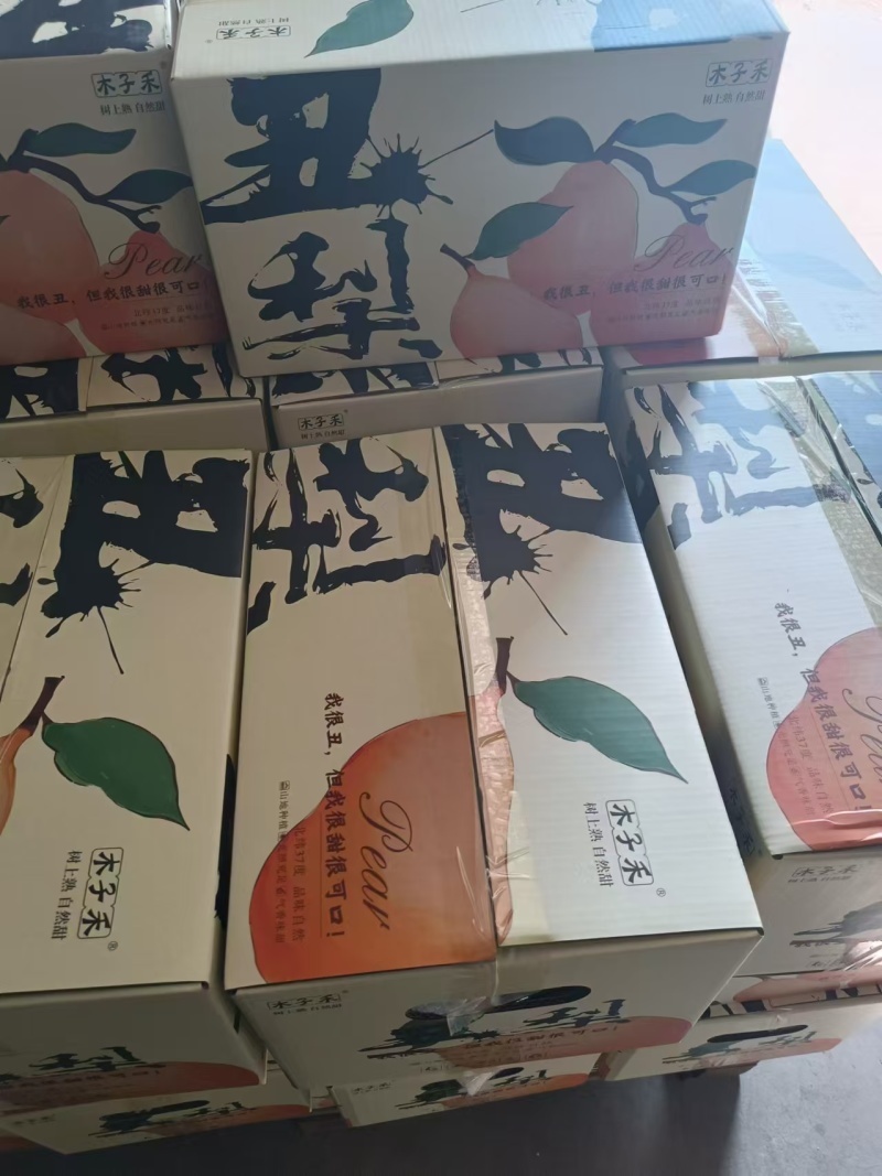 山东莱阳中华丑梨基地直发一手货源可视频看货