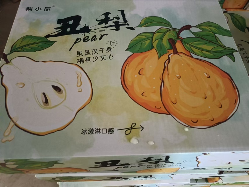 山东莱阳中华丑梨基地直发一手货源可视频看货