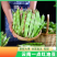 云南一点红油豆一件代发