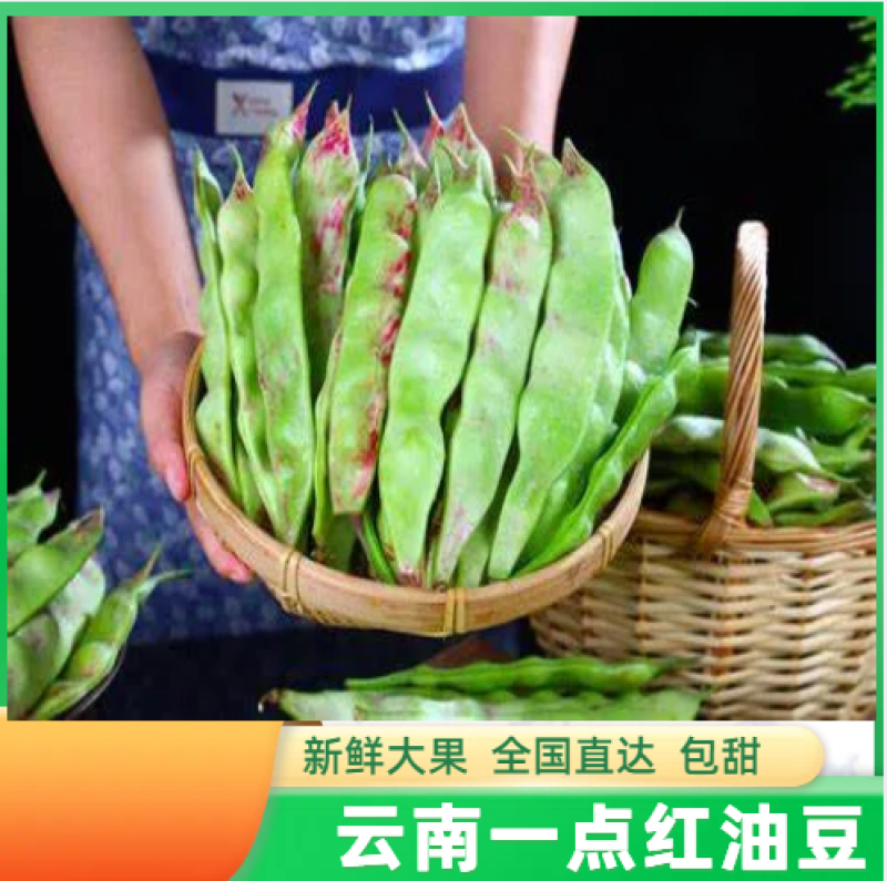 云南一点红油豆一件代发