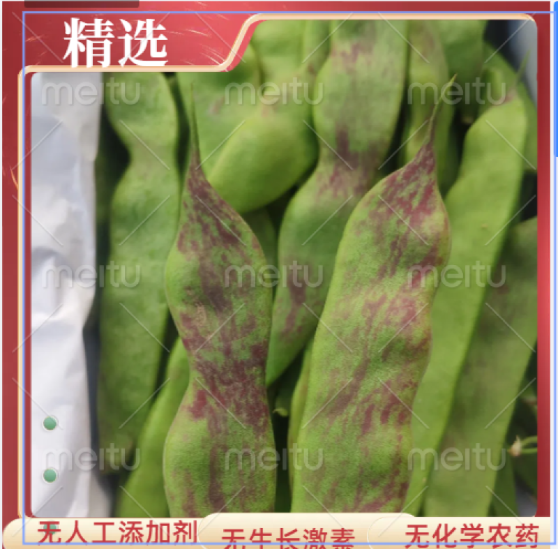 云南一点红油豆一件代发