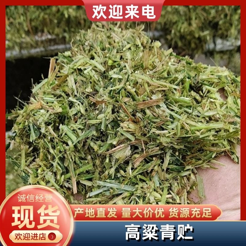 全株青贮玉米，全株青贮小麦，甜高粱青贮，稻草，麦草