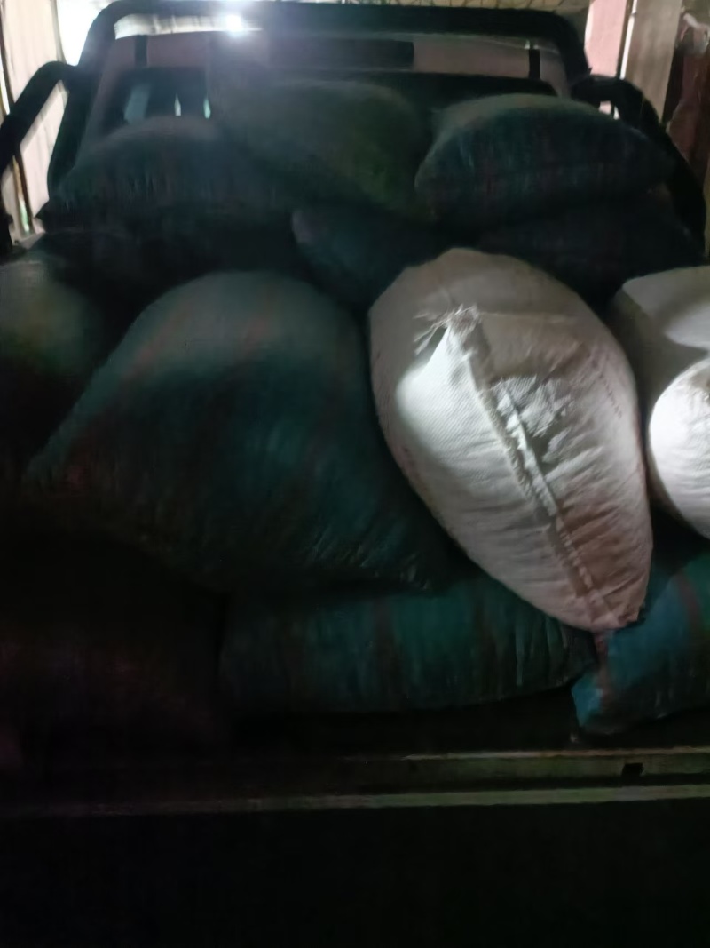 云南白芸豆产地一手货源量大从优欢迎实地考察