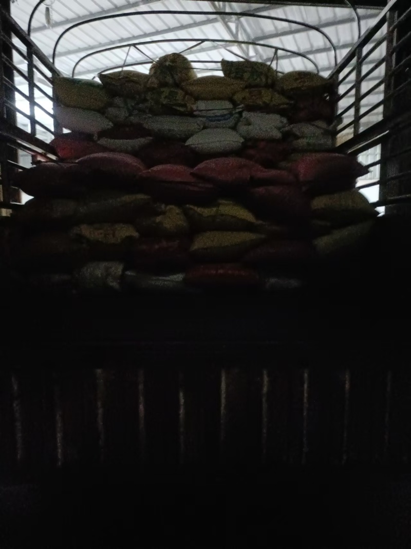 云南白芸豆产地一手货源量大从优欢迎实地考察