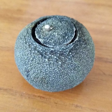小青柑普洱茶云南宫廷熟普洱茶质量保证欢迎咨询