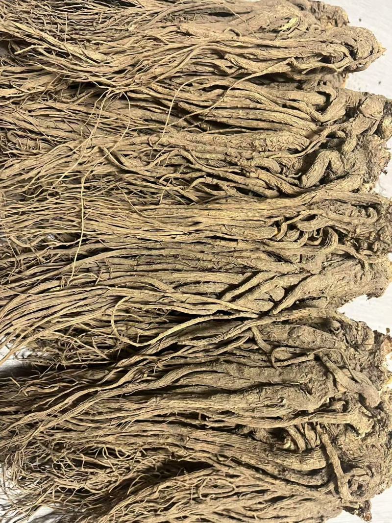 【诚信经营】甘肃当归-当归小条-专做口碑-薄利多销