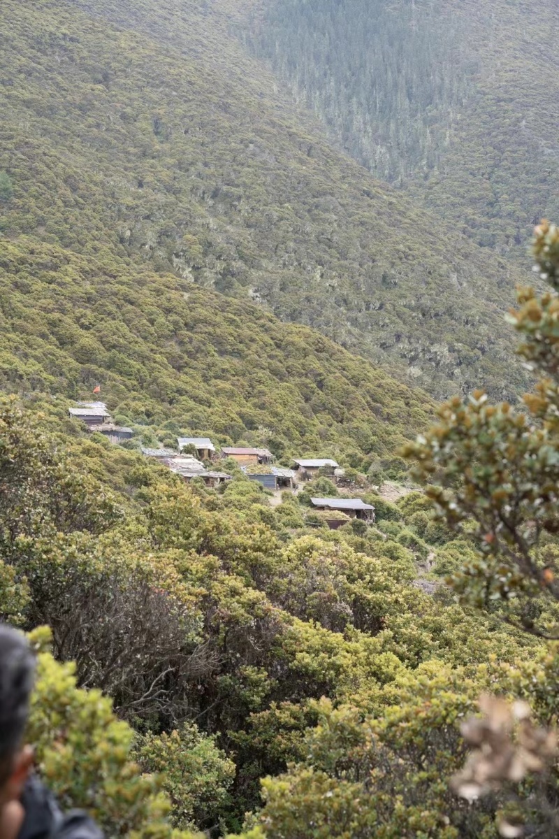 {正宗土蜂蜜}贵州麻江县正宗土蜂蜜，货源充足，欢迎致电