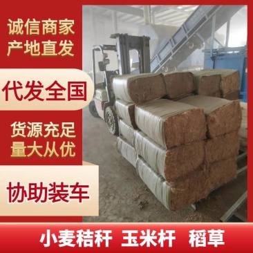 牛羊草料小麦玉米秸秆青贮草料厂家直供货源充足
