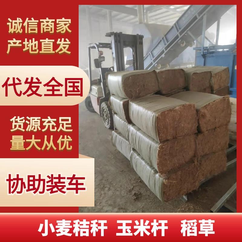 牛羊草料小麦玉米秸秆青贮草料厂家直供货源充足