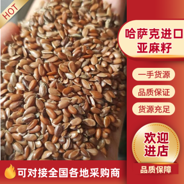 2025哈萨克进口亚麻籽，厂家直发，一手货源，欢迎采购