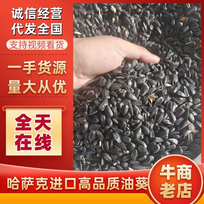 哈萨克2025新作油葵，出油率43以上，量大质优