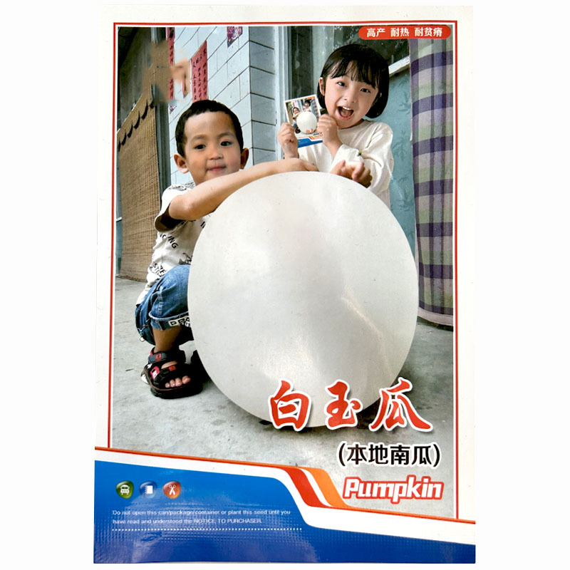 白玉瓜种子白吊瓜种子中晚熟高产本地南瓜高产