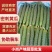 辽宁细条密刺黄瓜绿心黄瓜新鲜黄瓜可视频看货欢迎来电