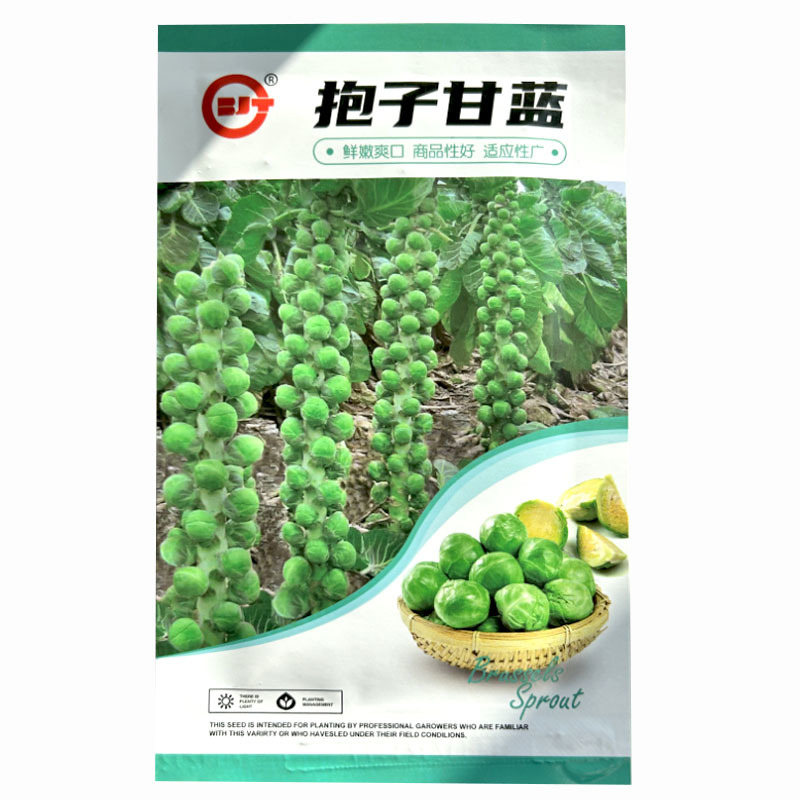 抱子甘蓝种子孢子甘蓝籽小甘蓝早熟小型芽球甘蓝早熟结果多