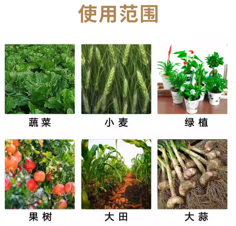 厂家直销土传病害防治微生物菌剂