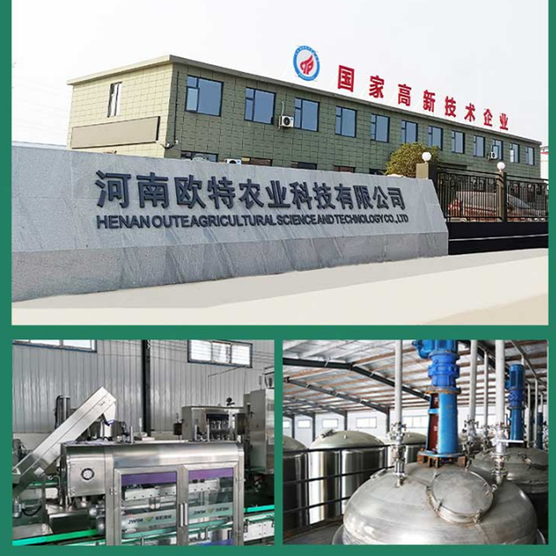 厂家直销草莓专用肥料