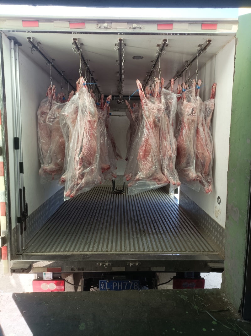 坝上草原精品羔羊肉卷肉质鲜美欢迎各位老板前来选购