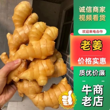 【老姜】山东生姜产地一手货源提供水洗分拣包装见货定价