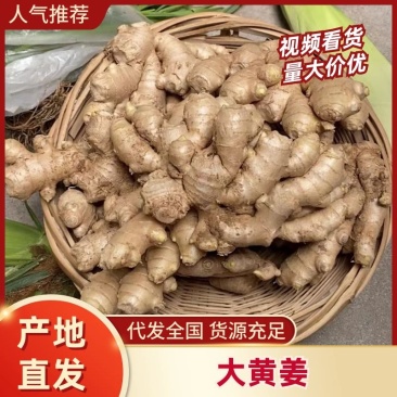 【大黄姜】山东生姜产地发货可水洗包装装车品种全欢迎咨询