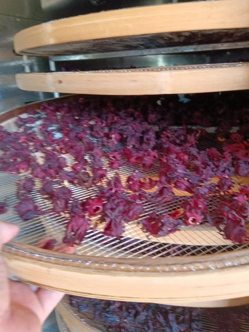 【实力推荐】玫瑰茄洛神花量大质优价格优惠欢迎采购咨询