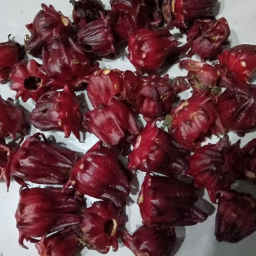 【实力推荐】洛神花玫瑰茄一手货源欢迎咨询采购支持看货