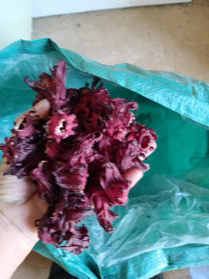 【实力推荐】洛神花玫瑰茄一手货源欢迎咨询采购支持看货
