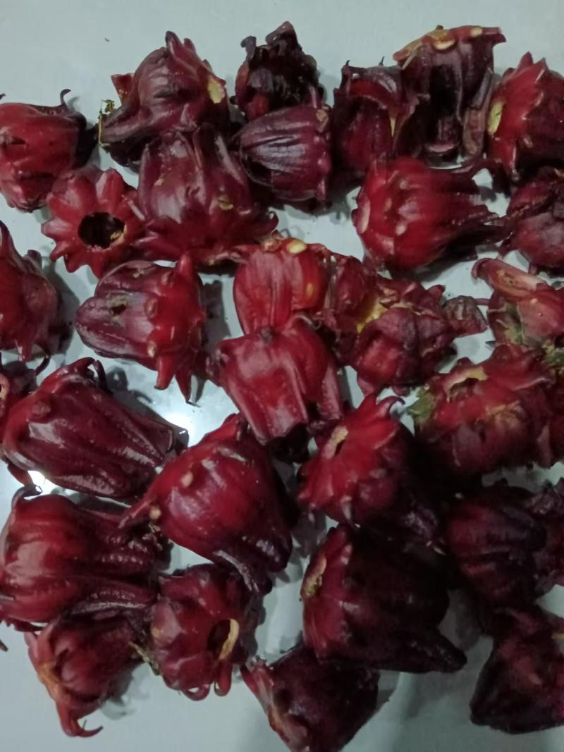 精品洛神花玫瑰茄自己种的26/斤价格优惠一手货源