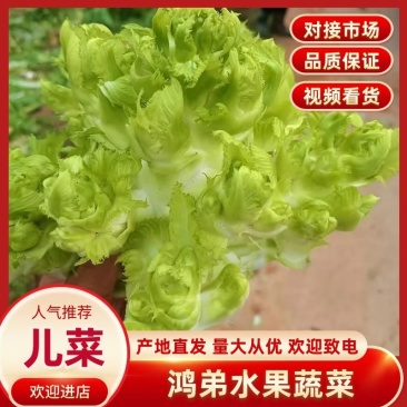 儿菜四川儿菜对接商超批发档口价格随行情而定