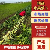 水果萝卜基地供货，支持电商.市场.超市质量保证欢迎咨询