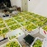 【推荐】广东百香果钦蜜9号产地直发价格优惠欢迎致电
