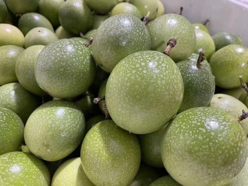 【推荐】广东百香果钦蜜9号产地直发价格优惠欢迎致电