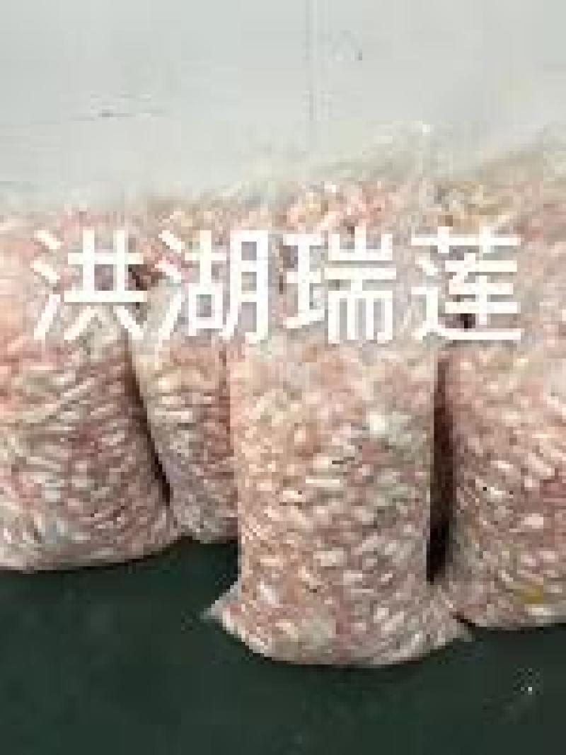 鱼泡鲜白鲢鱼泡（破泡）工厂直销价格优惠