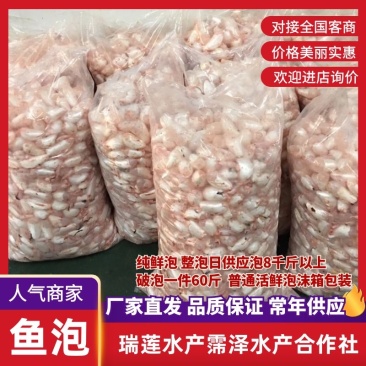 【稳定供货】白鲢鱼泡鱼肚鲜鱼鳔工厂直发对接餐饮