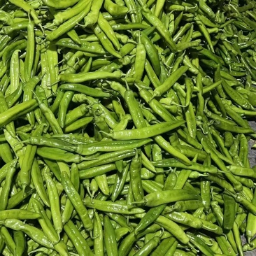 【推荐】山东精品尖椒对接各大商超产地直发品种齐发