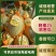 精品海沙瓜，红到皮，小蜜25.，哈密瓜全国整车代发