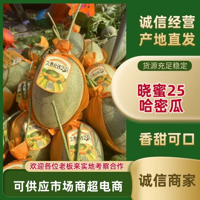 精品海沙瓜，红到皮，小蜜25.，哈密瓜全国整车代发