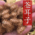 野生苍耳子新鲜采摘新货现发量大从优无污染无添加