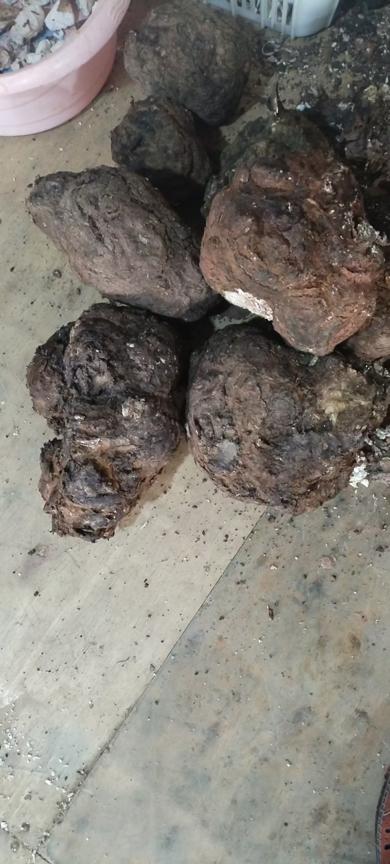 茯苓纯手工切片无硫生态放心购买假一赔十产地直发欢迎致电