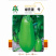 绿皮茄子杂交耐热绿皮白肉绿先号基地品种